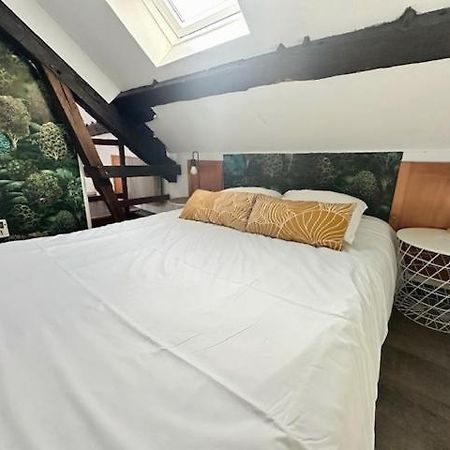 Apartamento Petit T2 duplex centre Orléans au calme Exterior foto